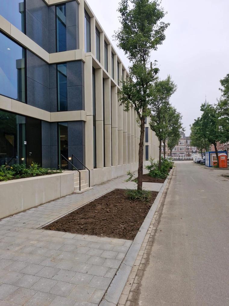 Nieuw aangelegde straat met bomen langs een modern kantoorgebouw